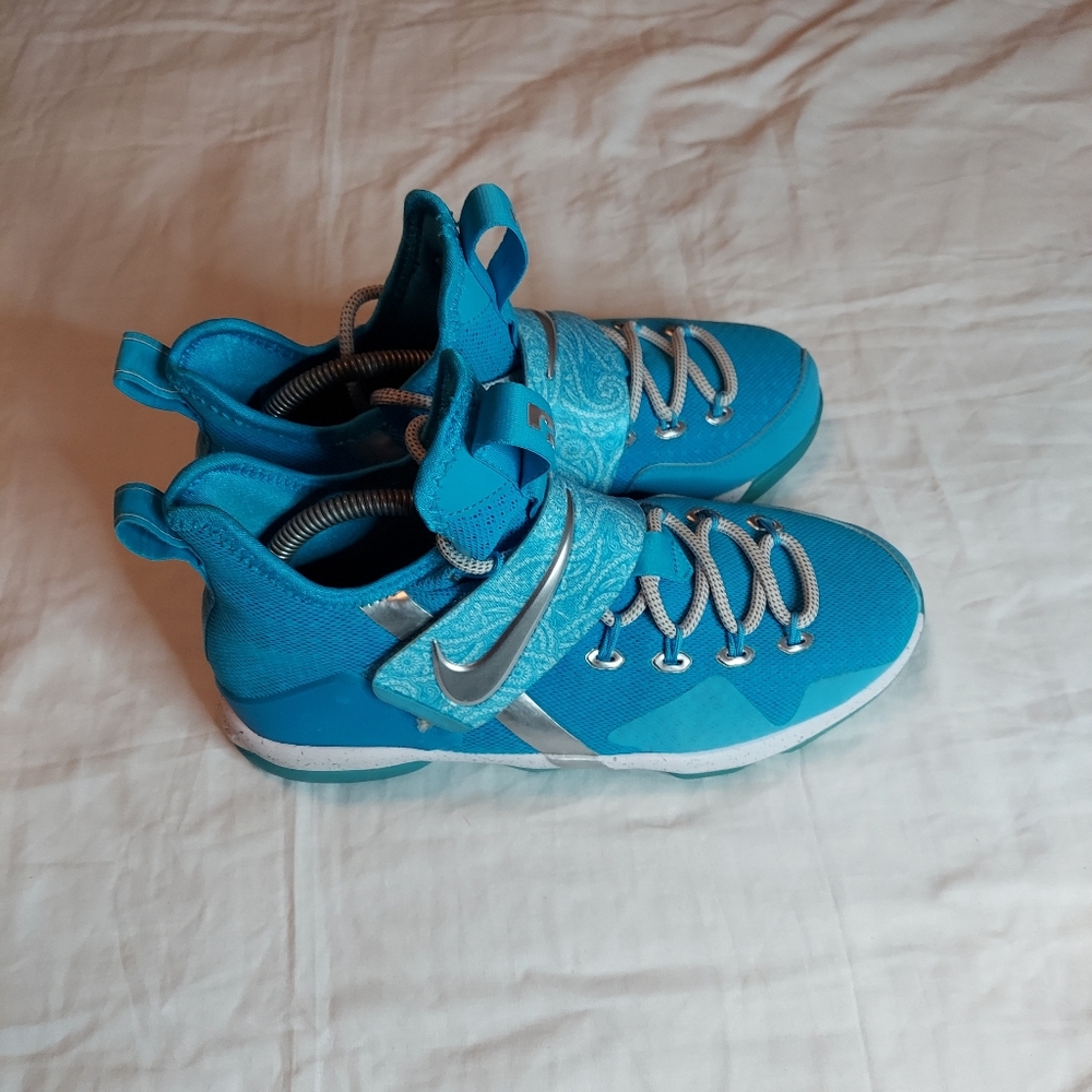 Nike Lebron 14 Ric Flair (GS)